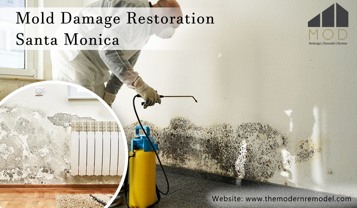 Five Reasons To Hire Expert Service of Mold Damage Restoration Santa Monica