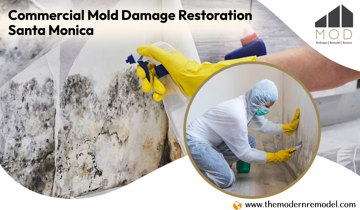 Commercial Mold Damage Restoration Santa Monica | MOD